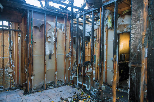 Professional Fire Damage Removal technician working in Titusville, FL