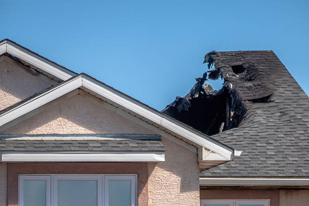 Top rated local Fire Damage Removal specialists in Titusville, FL